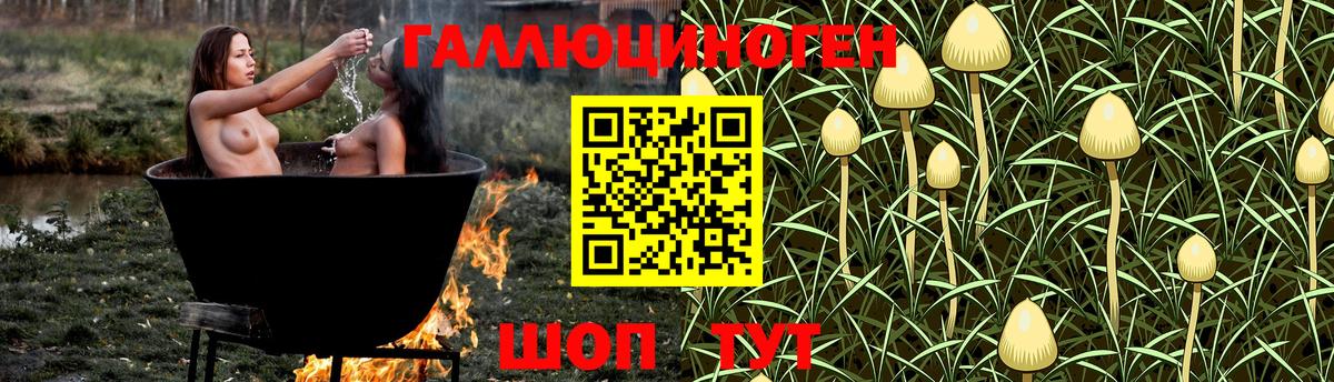 Псилоцибиновые грибы MAGIC MUSHROOMS  Вход с VPN  Михайловск 
